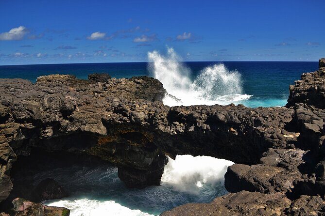 The East of Mauritius: Full-day incl visit to Ile aux Aigrettes & Lunch - Price and value: when $146.82 per person feels fair