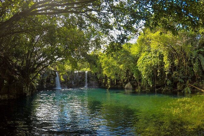 The Hidden Treasures of Mauritius, ALL INCLUSIVE Day Trip, Private SUV Car - Lunch at Andrea Lodge: A Typical Mauritian Meal With a Rocky Coast View