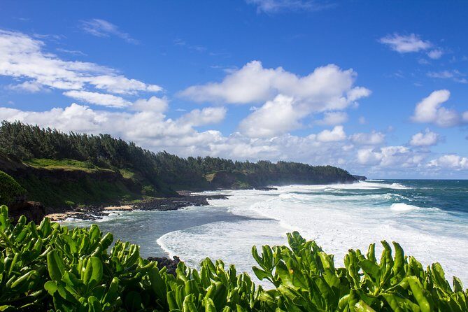 The Hidden Treasures of Mauritius, ALL INCLUSIVE Day Trip, Private SUV Car - Gris Gris Beach and La Roche Qui Pleure: Waves Write the Story for You