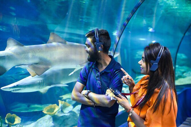 Ticket to the largest Oceanarium of the Mascarene Islands - Odysseo Oceanarium Mauritius: what this ticket really delivers