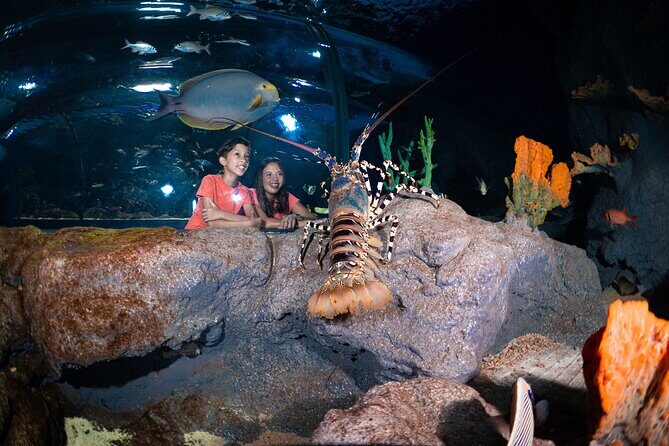 Ticket to the largest Oceanarium of the Mascarene Islands - Inside the Oceanarium: 45 habitats and 200 Indian Ocean species