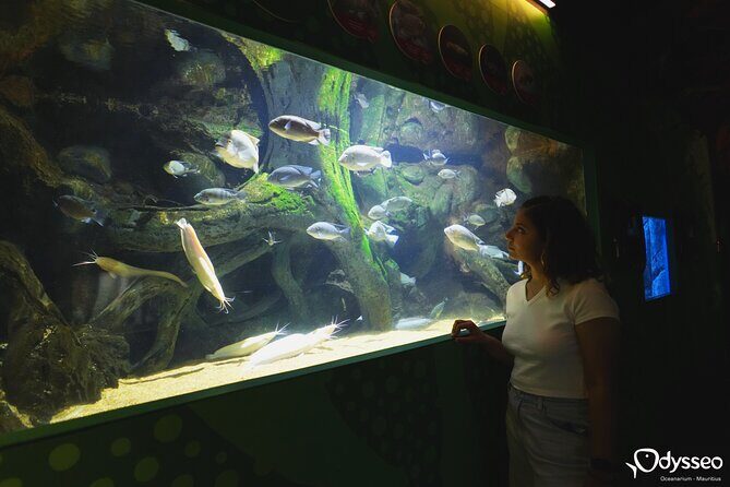 Ticket to the largest Oceanarium of the Mascarene Islands - How the one- to two-hour timing works on-site