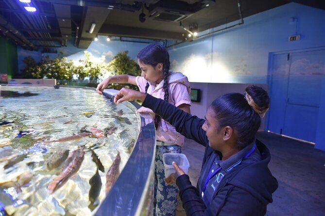 Ticket to the largest Oceanarium of the Mascarene Islands - The conservation angle: learning that fits the setting