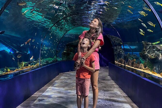 Ticket to the largest Oceanarium of the Mascarene Islands - Value check: is $33.50 worth it?
