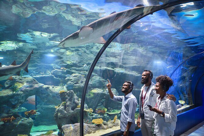 Ticket to the largest Oceanarium of the Mascarene Islands - Location and hours in Port Louis (so you don’t waste your day)