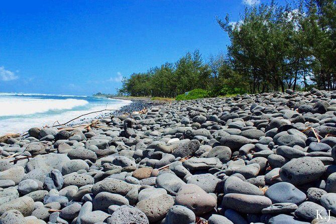 Tropical South West of Mauritius: Full-day All Inclusive tour (Visit to 3 parks) - Black River Gorges viewpoint: high viewpoint scale and rainforest energy