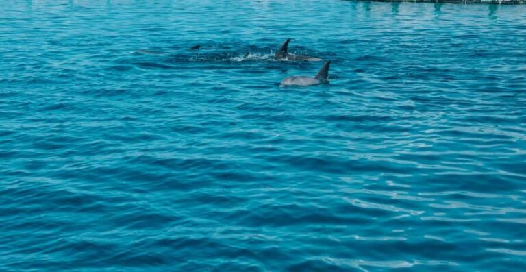 Trou D'Eau Douce: 5 island tour Mauritius with lunch/drinks - Ile aux Cerfs: the beach-and-lunch combo that makes this tour feel worth it