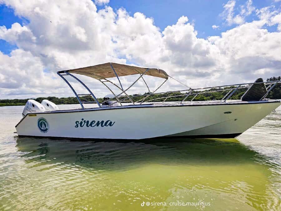 Trou d'Eau Douce: Waterfall and Ile aux Cerfs Day Trip - The Speedboat Ride to Île aux Cerfs: Short, Scenic, and Actually Fun