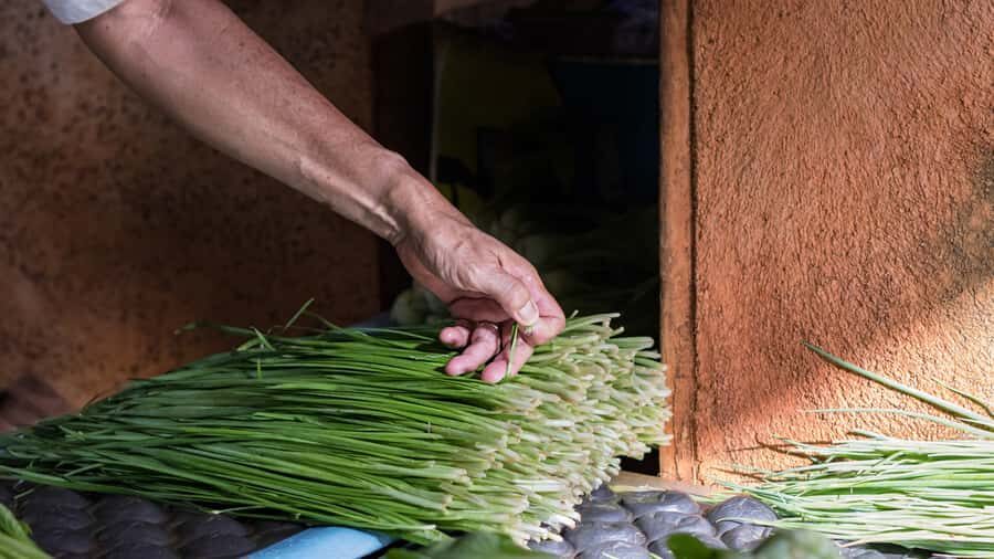 Unveiling the Ancient and Modern Port Louis - city tour - Central Market and street food basics: colors, vendors, and quick culture
