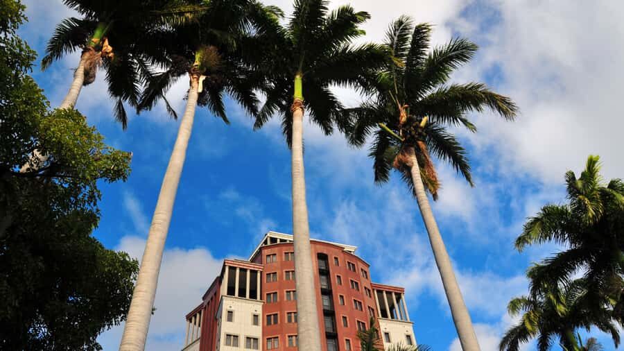 Unveiling the Ancient and Modern Port Louis - city tour - Price and value: is $53 for 2 hours actually fair?