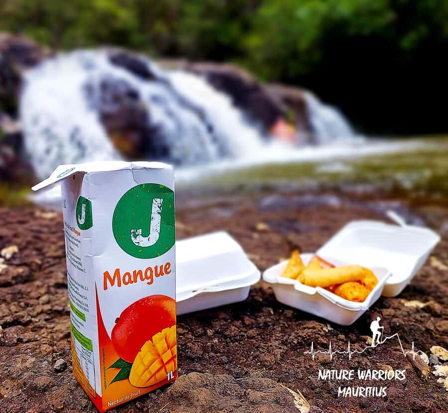 Vacoas-Phoenix: Private Hiking Tour to Tamarind Falls - Reaching the First of Four Waterfalls (About 30 Minutes In)