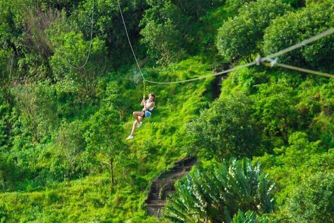 Vallé Advenature Park, South Mauritius - Vallé Advenature Park Basics: 450 Acres Since 1998
