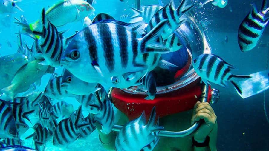 Walking under the sea in Mauritius with transfer - The Underwater Walk: 3–4m Reef Route, Guided and Calm