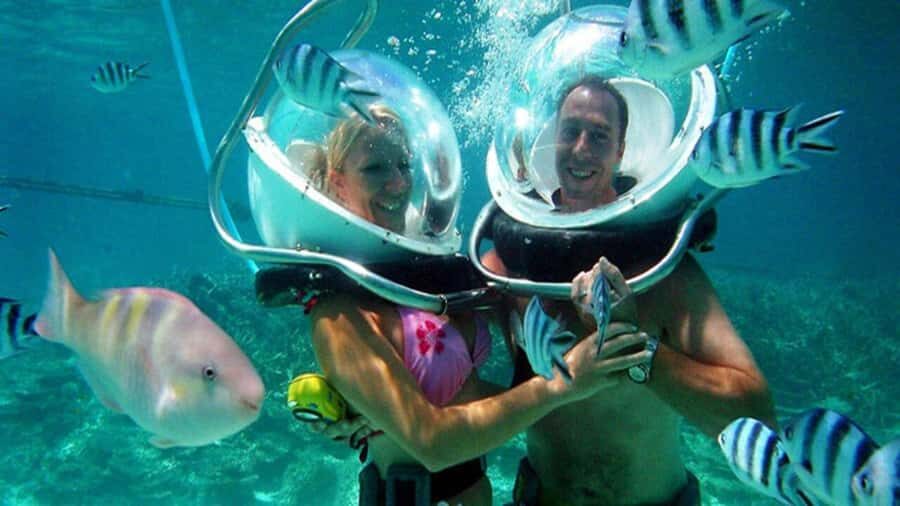 Walking under the sea in Mauritius with transfer - Fish, Corals, and the Hand-Feeding Moment