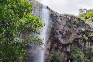 Waterfall Hike - The sugar cane fields: your first taste of Mauritius scenery