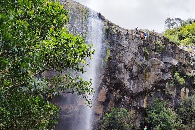 Waterfall Hike - The sugar cane fields: your first taste of Mauritius scenery