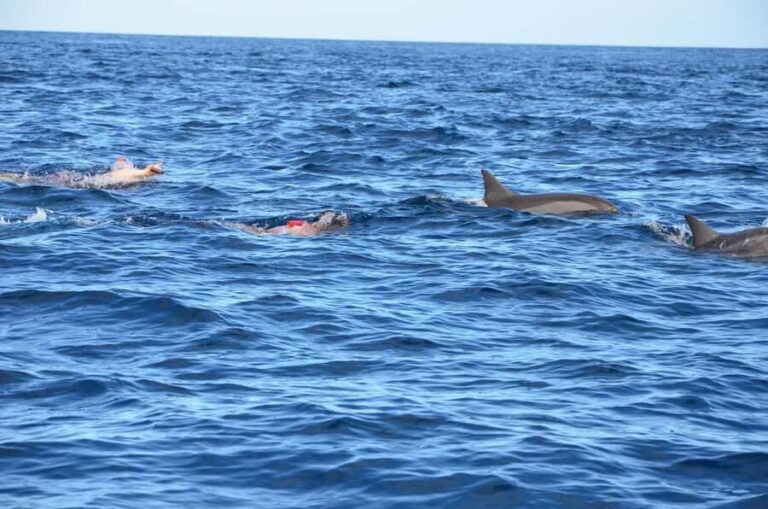 West: Swim wz dolphins, Crystal Rock, Lunch Benitiers island - How the Timing Usually Feels (Morning to Early Afternoon)
