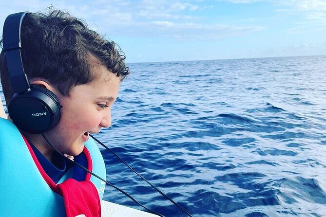 Whale Dream ltd - Whales watching and swim with dolphins - Which whales and dolphins you can realistically hope for