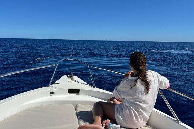 Whale Watching and Private Ocean Safari Experience in Mauritius - The 28-Foot Speedboat Comfort That Changes Everything