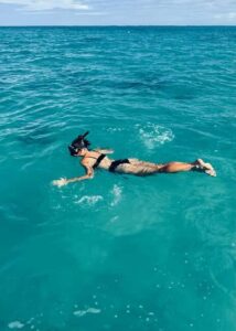 Wild Dolphin Encounter & Snorkeling Adventure – Mauritius. - Dolphin swim rotation: what “calm” looks like on the water