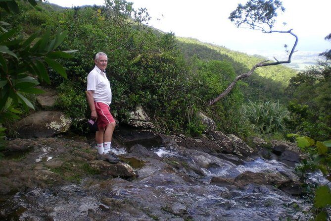 Wild South: Full-Day tour incl Rhumerie St Aubin, Bois cheri Tea factory & Lunch - Price and value: what you’re paying for (and what you’re not)