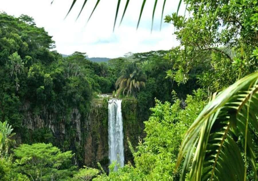 Wild South West Private Tour with pick up - A Private 8-Hour Route That Moves Like a Plan
