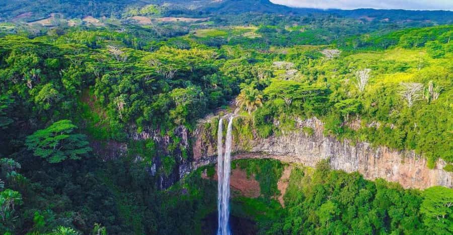 Wild South West Private Tour with pick up - The Private Guide Advantage: What Makes the Day Feel Personal