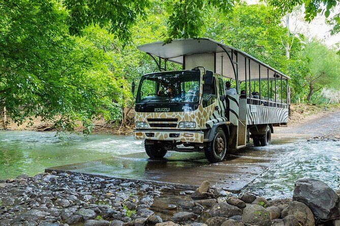 Wild South West Tour : SAFARI & TULAWAKA CASELA PARK & LE MORNE - The Driving and Guide Factor: Why the Car Matters Here